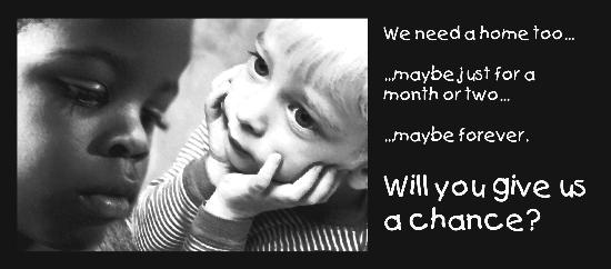We need a home too...maybe just for a month or two...maybe forever. Will you give us a chance?