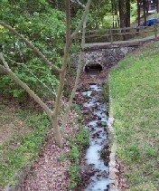 Stream flowing through tunnel with illicit discharge
