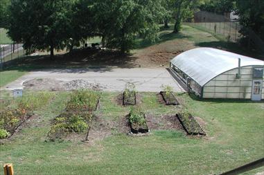 Greenhouse Aerial
