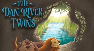 Dan River Twins book cover
