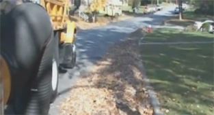 Loose leaf collection crew in action