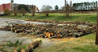 Free firewood available outside former Schoolfield plant