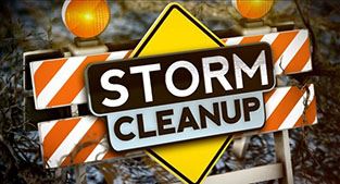 Storm cleanup image