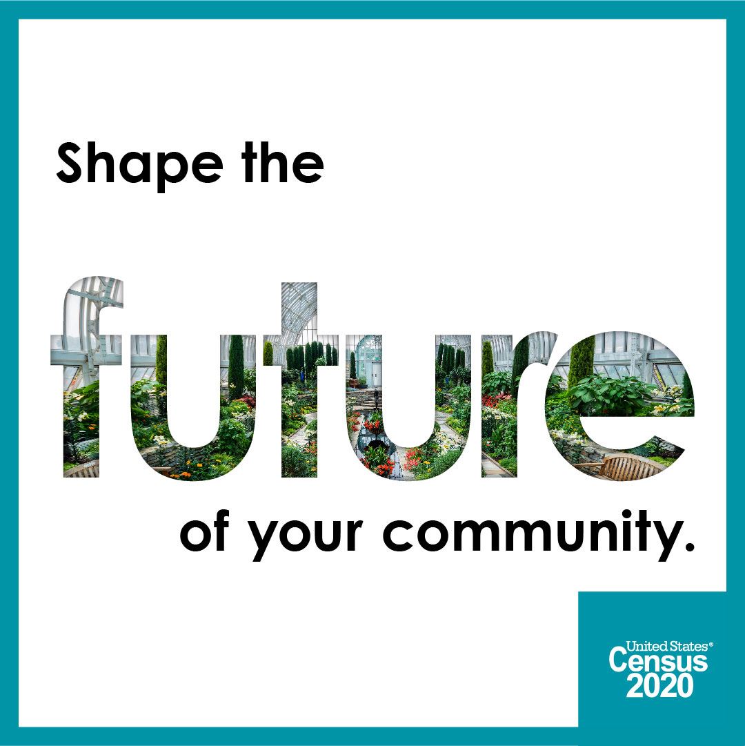 2020 Census - Shape the future