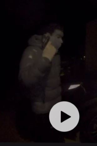 Vehicle Thefts release suspect
