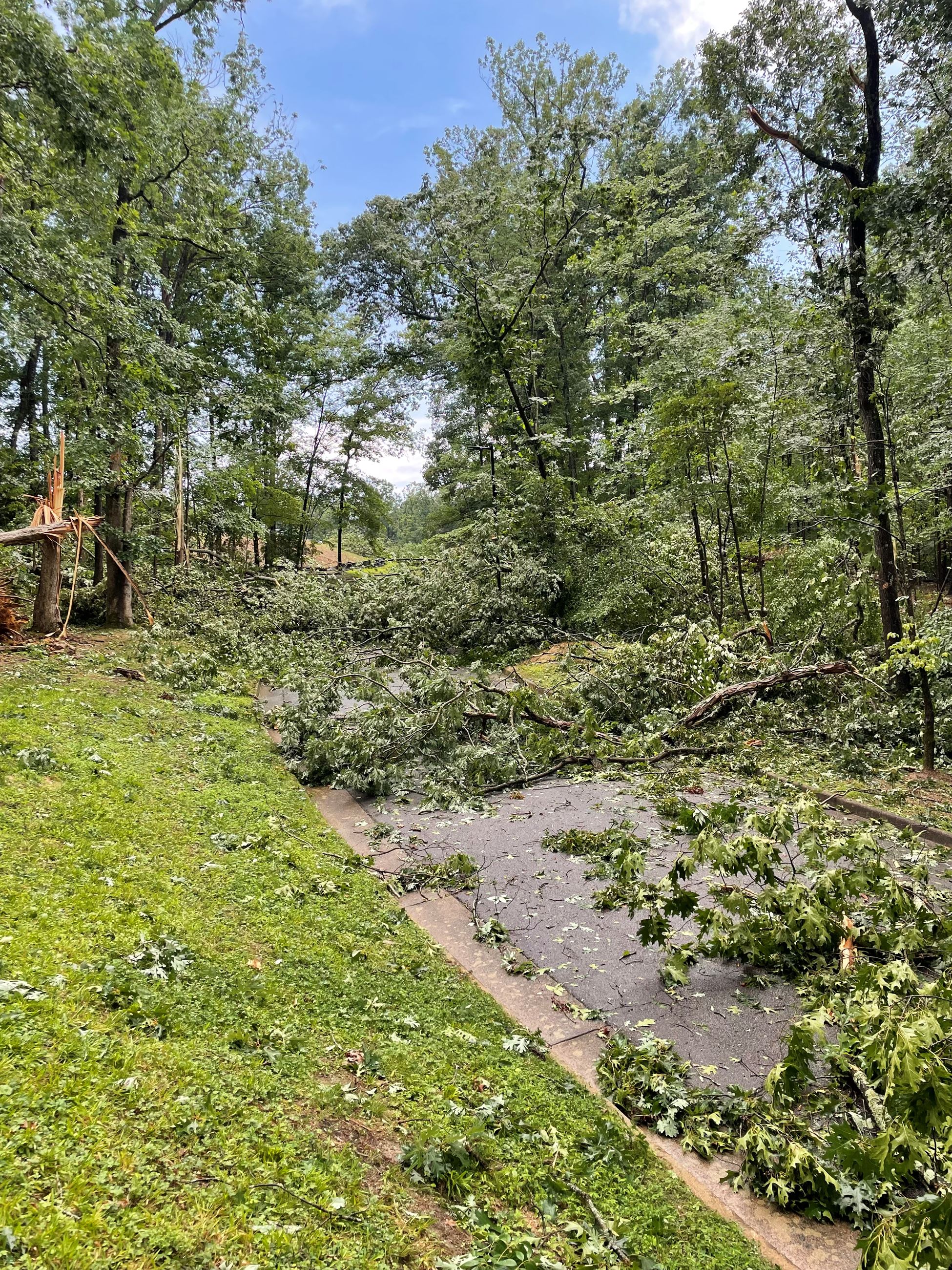 Storm Damage 2