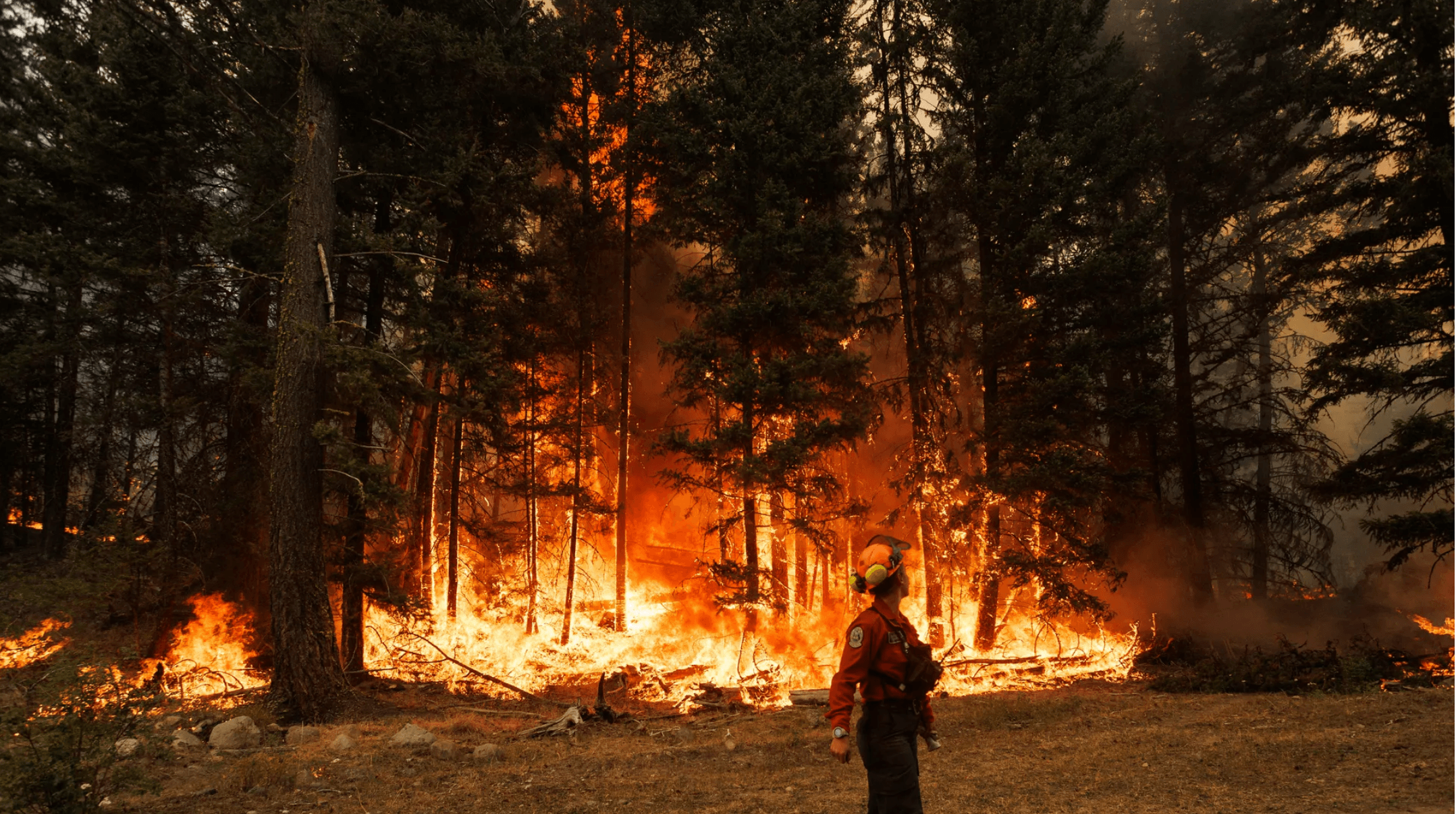wildfire