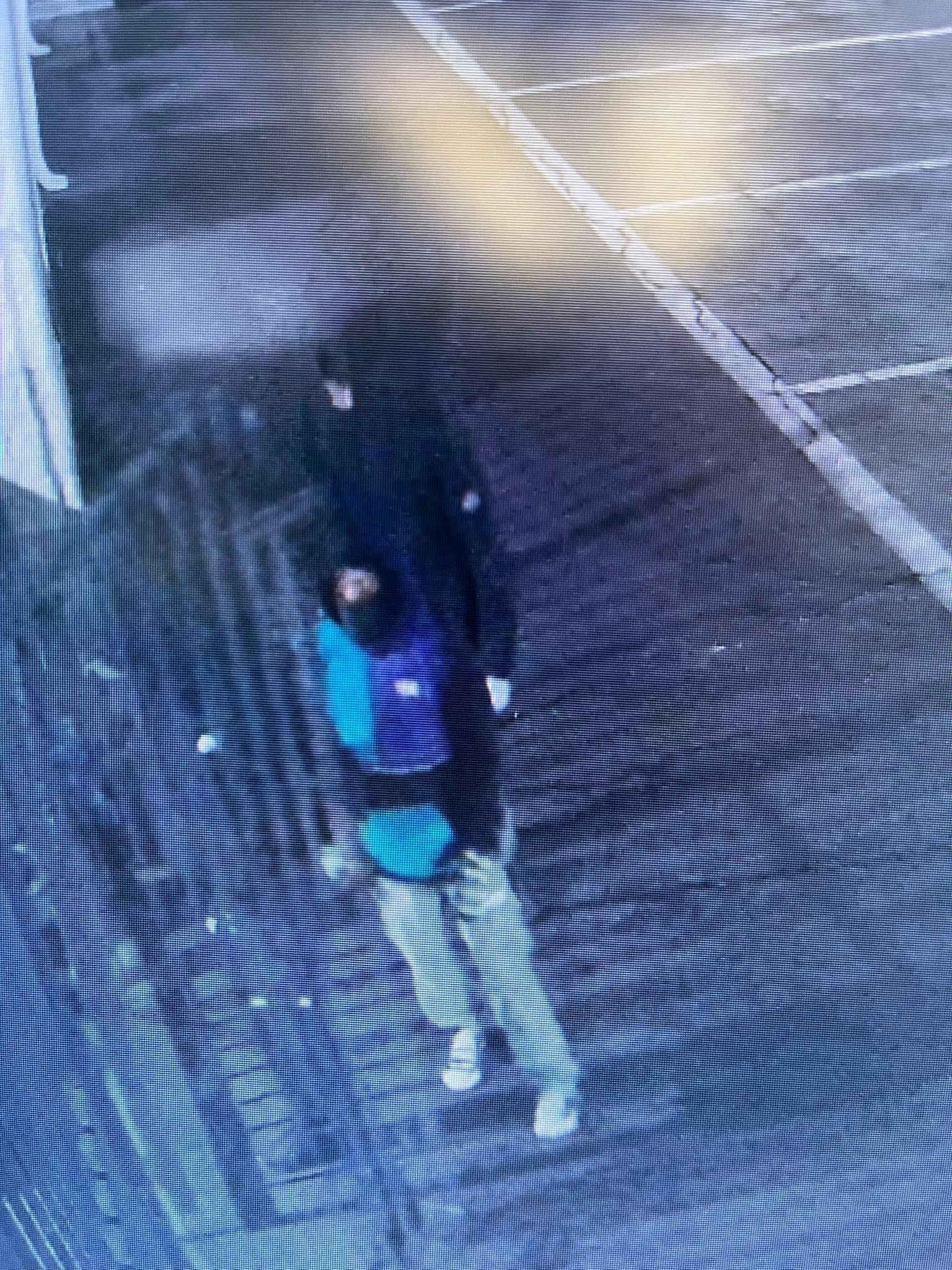 011524 Burglary Investigation (6)