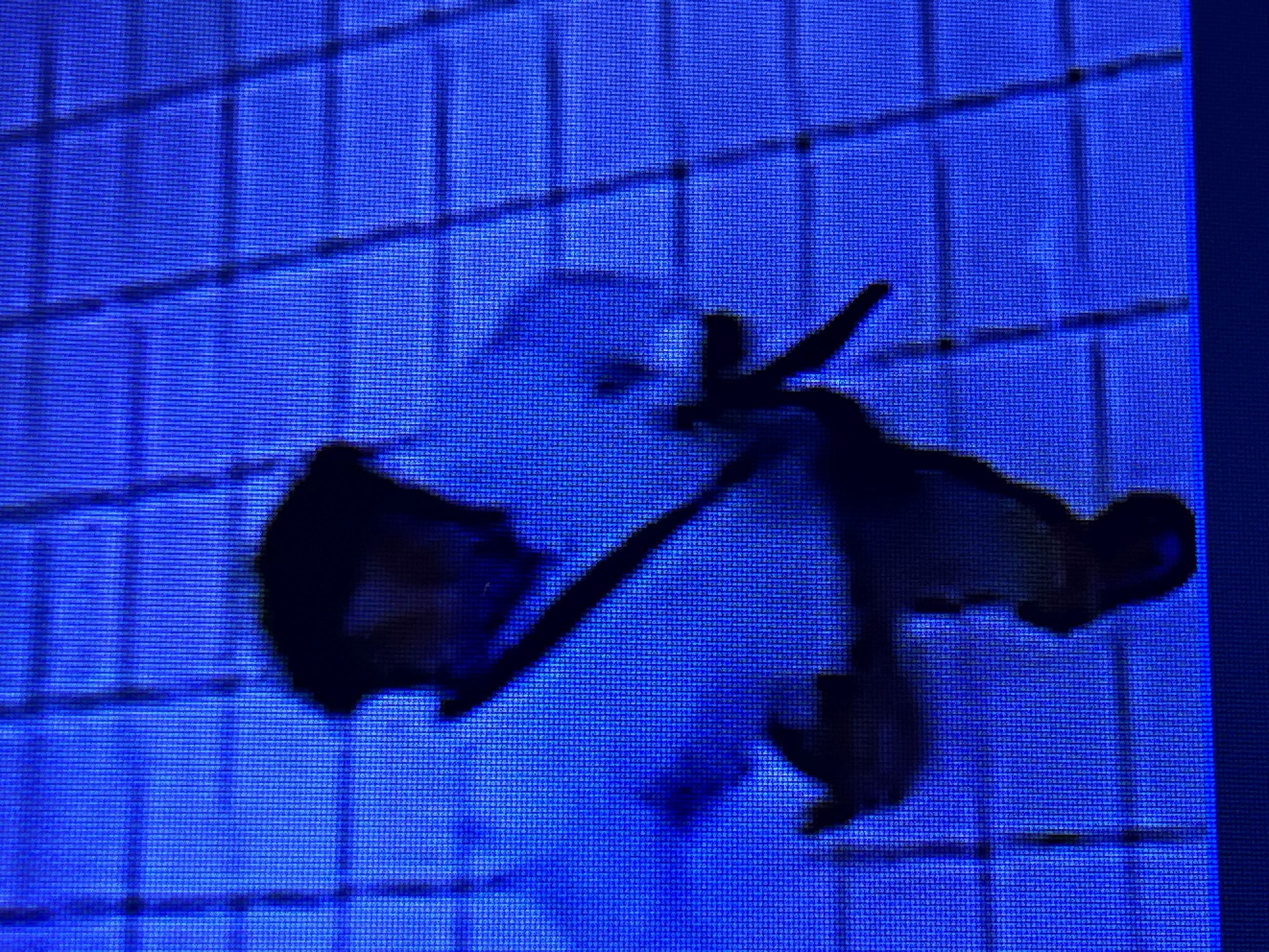 Robbery suspect image from Danville Mall. 