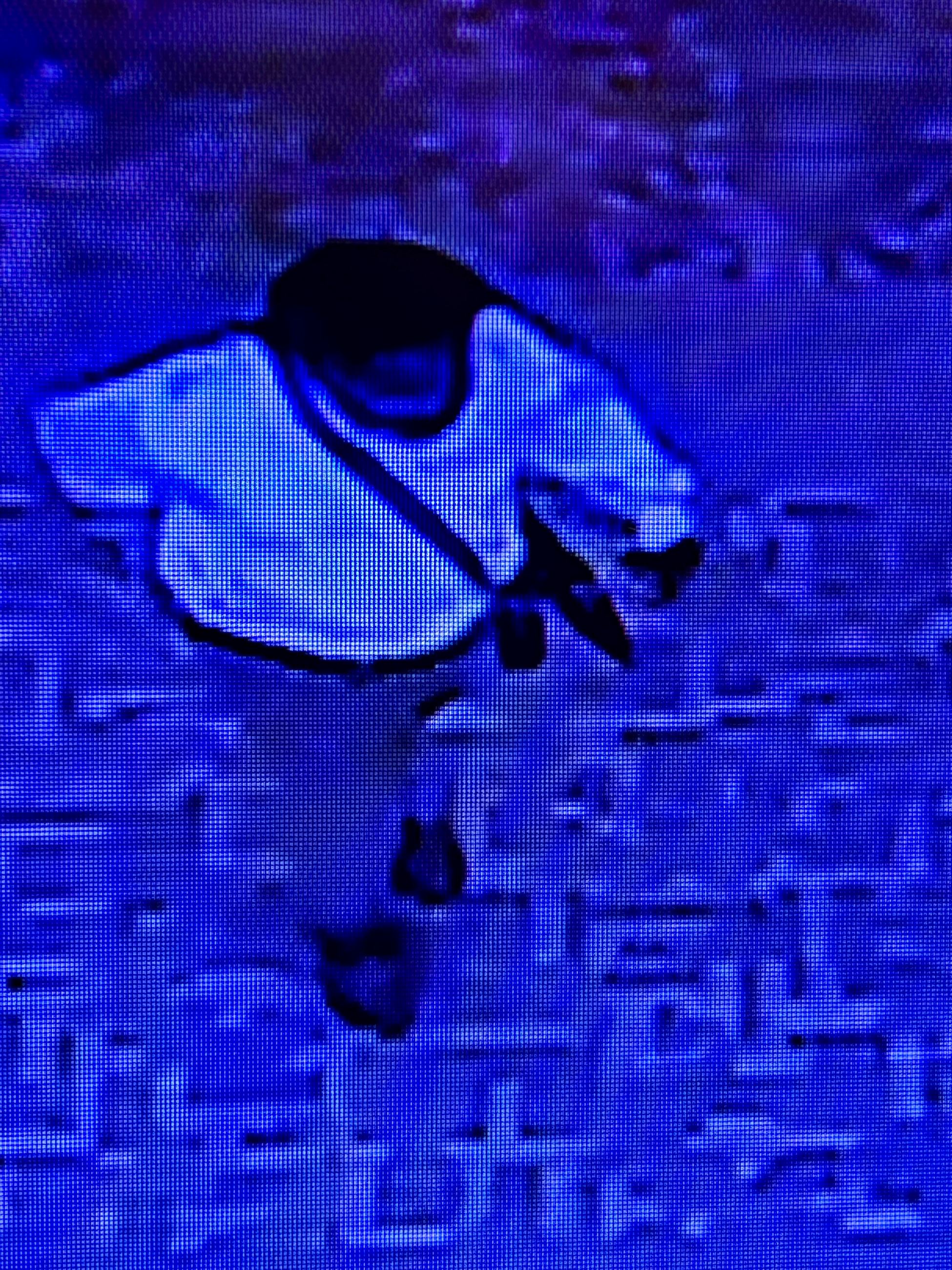 Robbery suspect image from Danville Mall. 