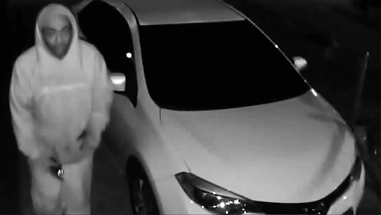 Car Break In Suspect